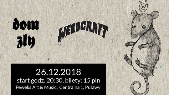 Mocne, świąteczne granie w Puławach