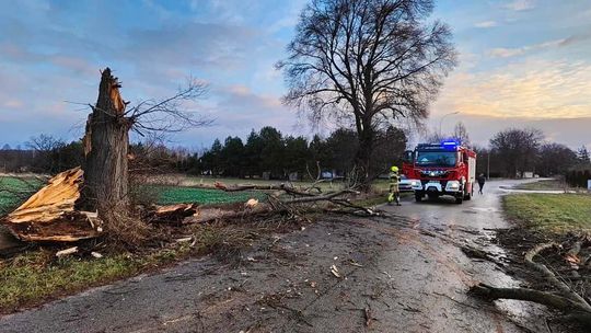 Mocno wiało, ale interwencji było niewiele