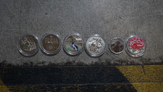 Monety nie wjechały do Polski