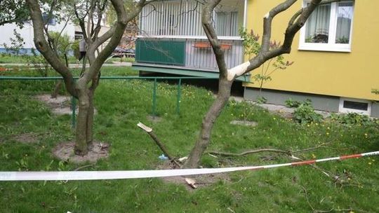 Morderstwo na ul. Bursztynowej: Co wydarzyło się w mieszkaniu przed skokiem z 11. piętra?