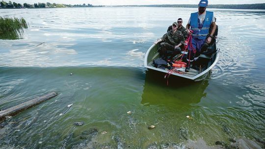 Morze martwych małży w Zalewie Zemborzyckim. Czy Wody Polskie zawiniły?