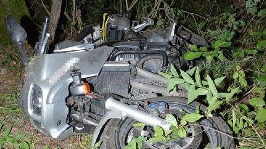 Motocyklista zderzył się na drodze z łosiem. Zwierzę wbiegło na jezdnię