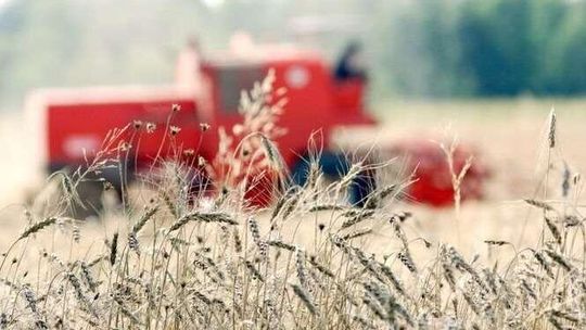 Można było dostać 100 tys. zł na rozwój gospodarstw. Wpłynęło tylko 329 wniosków