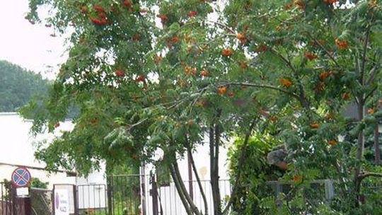 Można zarobić, ale zgodnie z prawem