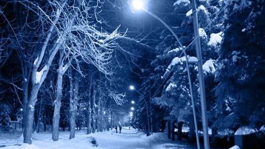 Mroźna noc w woj. lubelskim. Gdzie było najzimniej?