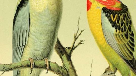 Multimedialny koncert Tatvamasi w Centrum Kultury