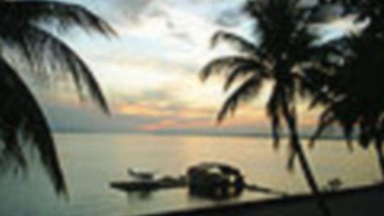 Mundial 2014: Kamerun - Chorwacja w TV i Internecie