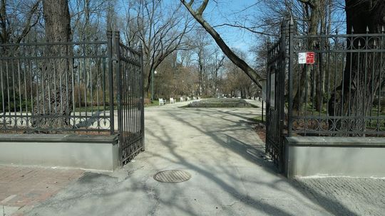 Muszla w Ogrodzie Saskim będzie pełna widzów. Rusza też kino w staromiejskiej kamienicy