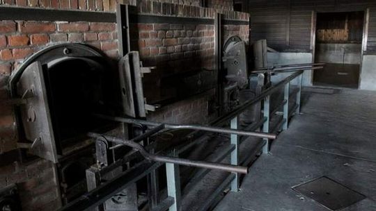 Muzeum na Majdanku montuje szklane kurtyny