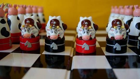 Muzeum szachów w Zamościu: Szachy są. Ale nie ma na gabloty