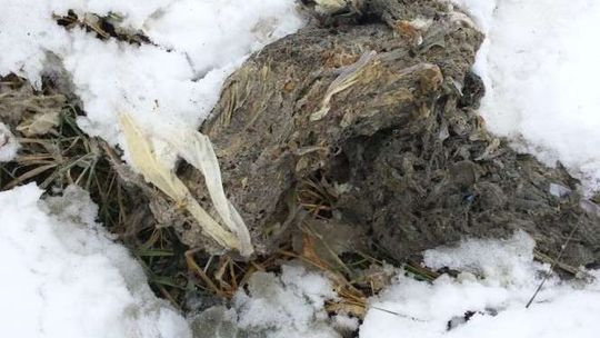 Mylą rury ze śmietnikiem. Co trafia do kanalizacji?