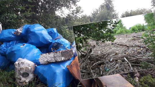 Myśleli, że jedna puszka nie robi różnicy. Od miesięcy pan Dariusz walczy ze śmieciami w zakolu Wisły