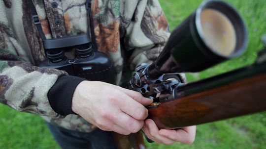 Myśliwi chcą rekompensat za stan wyjątkowy