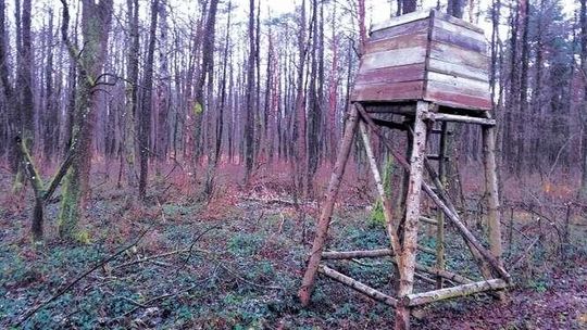 Myśliwi tuż obok rezerwatu. Będą musieli przestawić ambony łowieckie