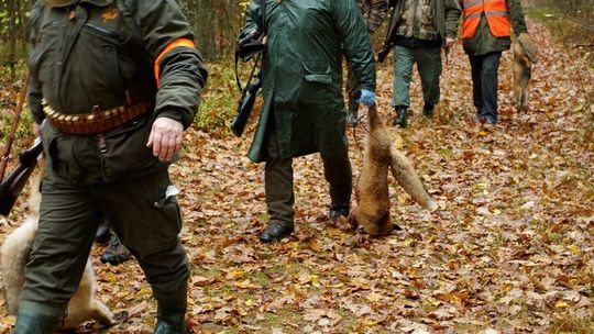 Myśliwy nie wejdzie na twoje pole. Jeśli to w porę zgłosisz