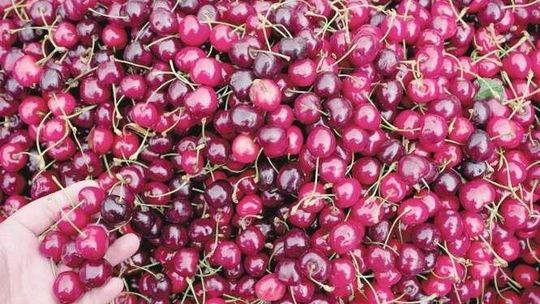 Na co zamienić mięso? 10 przysmaków, których musisz spróbować w czerwcu