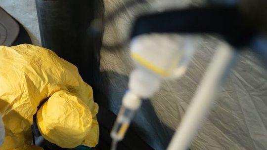 Na czym polega odporność w przypadku COVID-19? Naukowcy szukają odpowiedzi