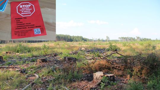 Na działce po wykarczowanym lesie inwestor chce stawiać kurniki. Mieszkańcy protestują