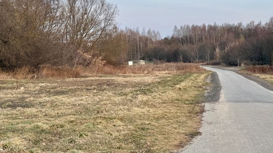 Na grilla nad Czechówkę? Niebawem to będzie możliwe