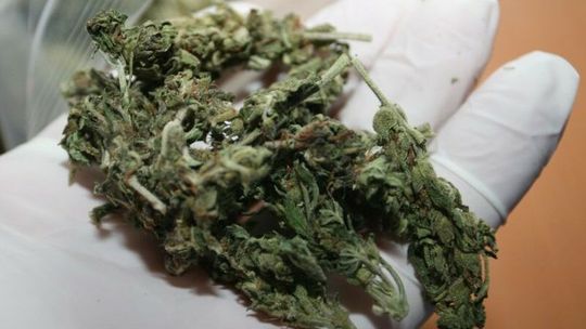 Na komisariat w Lublinie przyszedł pan. Miał reklamówkę od znajomego