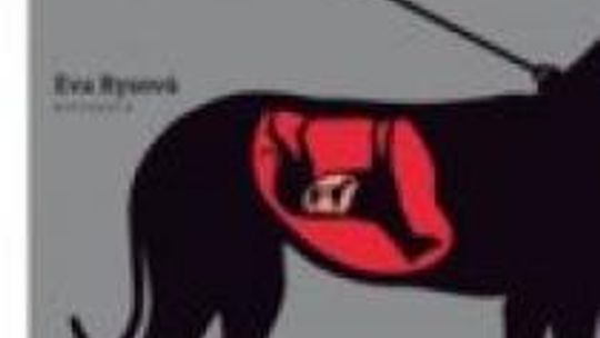 Na końcu łańcucha w Teatrze Osterwy