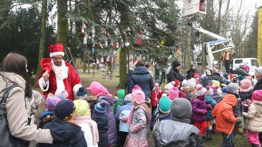 Na LSM mają swoją choinkę. Już ubrana