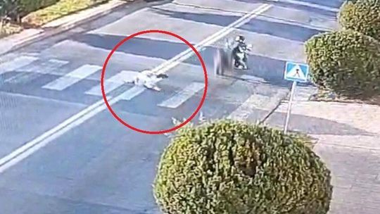 Na przejściu: 84-latka potrącona przez motocyklistę