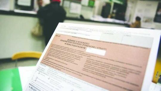 Na psy, na pomoc dzieciom, na wolność. Na co i ile przekazaliśmy z 1 procenta podatku?