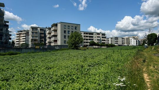 Na słynnym lubelskim polu mieszkańcy chcą parku. Zbierają podpisy pod petycją