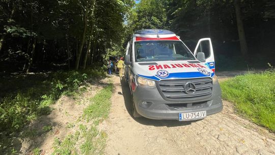 Na spacerze w lesie ziemia osunęła się na dwójkę dzieci