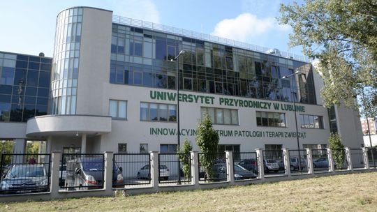 Na te studia decydują się najczęściej ludzie z powołaniem. Lubelska weterynaria ma 75 lat