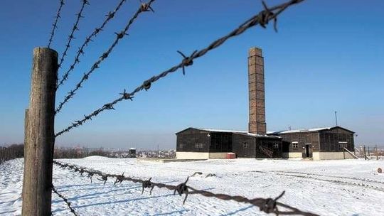 Na tropie 112 esesmanów z Majdanka. "To ostatnia szansa na znalezienie winnych ludobójstwa"