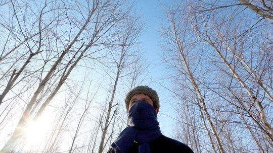 Na tropie kłusownika. Patrol rusza w las (wideo)