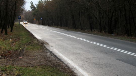Na tych drogach w powiecie puławskim najczęściej można spotkać dzikie zwierzęta