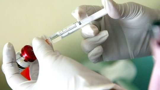 Na Ukrainie epidemia świńskiej grypy. Czy jesteśmy bezpieczni?