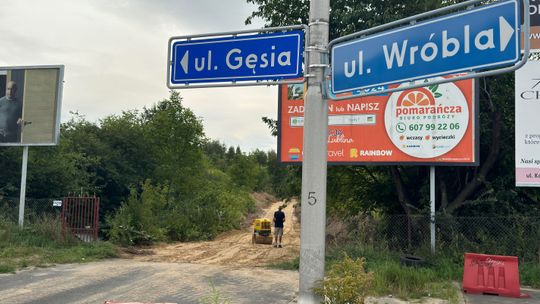 Na Węglinie Południowym drzewa znikają szybko. Mieszkańcy zaniepokojeni