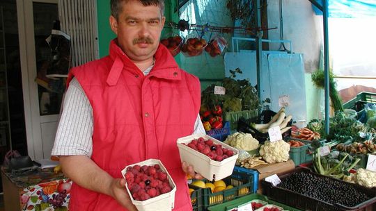 Na Zamojszczyźnie cały czas pną się w górę ceny truskawek, malin, porzeczek i innych owoców