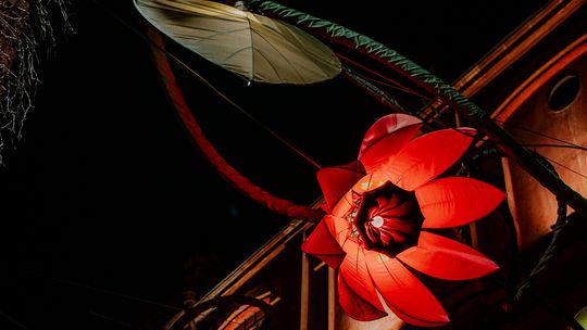 Nad Browarem zakwitły kwiaty. Nowa instalacja artystyczna w centrum Lublina