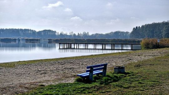 Nad zamojskim zalewem pojawią się palmy. "Nasi działkowcy podobnych roślin nie hodują"