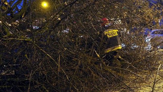 Nadal mocno wieje w woj. lubelskim. Połamane drzewa, uszkodzone domy i budynki gospodarcze