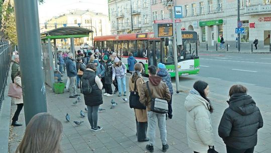 Nadjeżdżają nowe przystanki. Miasto szuka projektantów