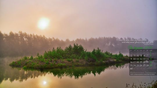 Nadleśnictwo Tomaszów Lubelski pokazuje urodę swoich lasów [zdjęcia]