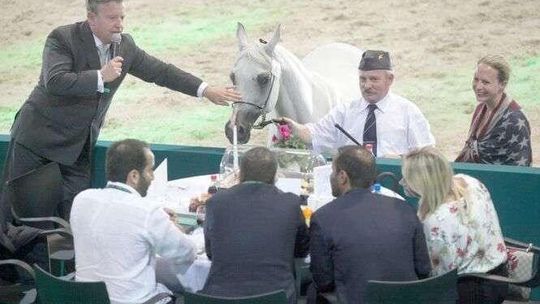 Nadszarpnięta Duma Polski. Rekord wpadek na aukcji Pride od Poland