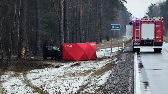 Nagle zjechał z drogi i uderzył w drzewo. Tragiczny finał podróży do Chełma 