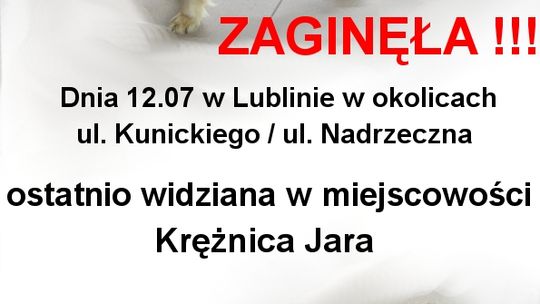 Nagroda za znalezienie Frajdy