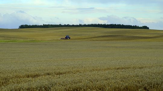 Najbiedniejsza gmina w Polsce leży w woj. lubelskim