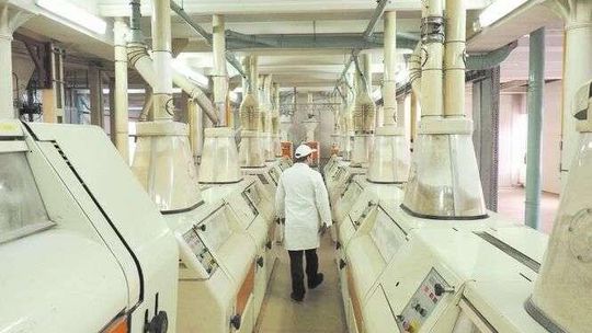 Najcenniejsze marki woj. lubelskiego. 9 firm znalazło się w rankingu