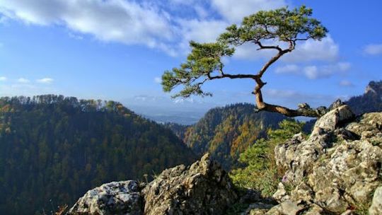 Najciekawsze miejsca i atrakcje w Pieninach