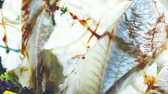 Najlepsze potrawy ze śledzia - przepisy na święta i nie tylko