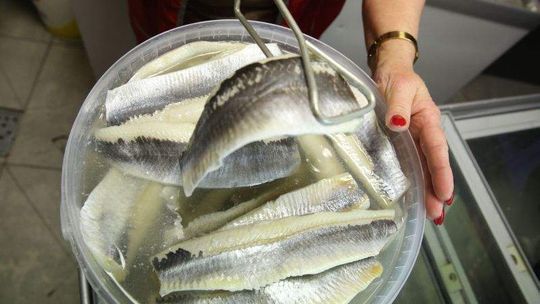 Najlepsze przepisy na śledzia